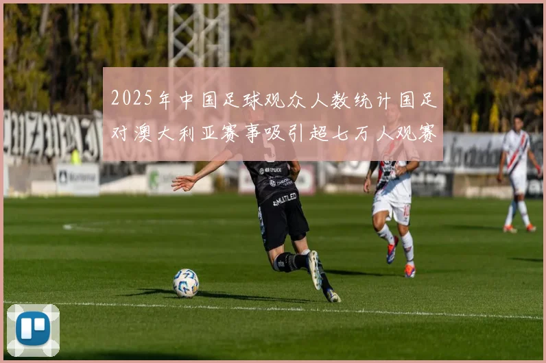 2025年中国足球观众人数统计国足对澳大利亚赛事吸引超七万人观赛