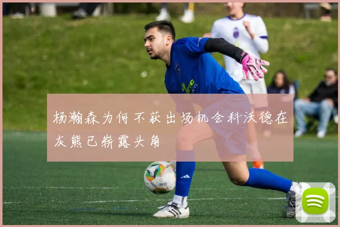 杨瀚森为何不获出场机会科沃德在灰熊已崭露头角