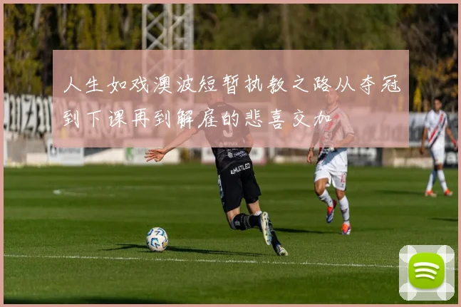 人生如戏澳波短暂执教之路从夺冠到下课再到解雇的悲喜交加