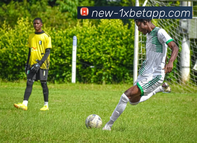 1xbet官网品牌故事