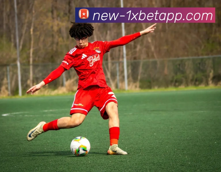 1xbet官网服务体系